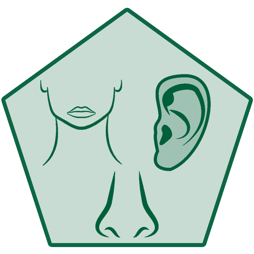 Ear, Nose and Throat Center-icon